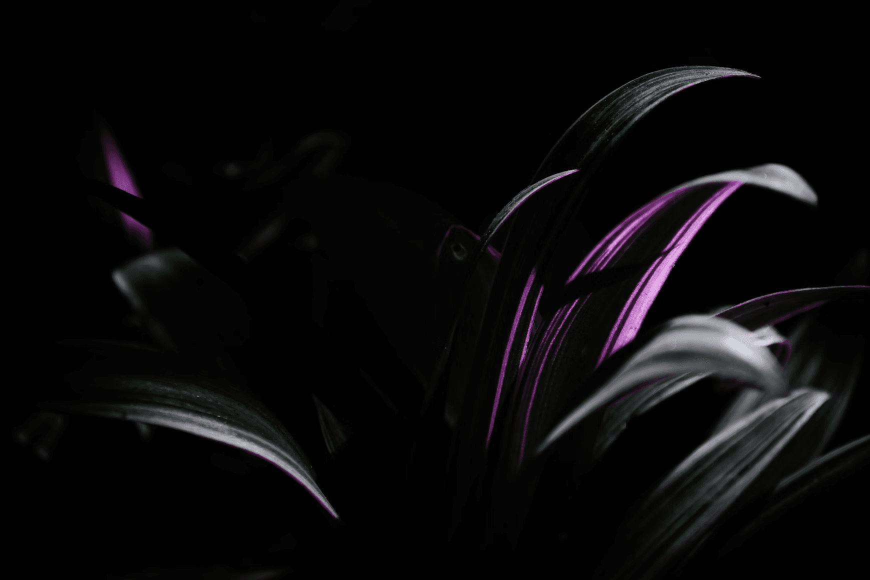 Hero banner